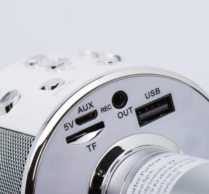 Actual product image OEM Other Computer Accessory Multimedia karaoke microphone CR58 silver