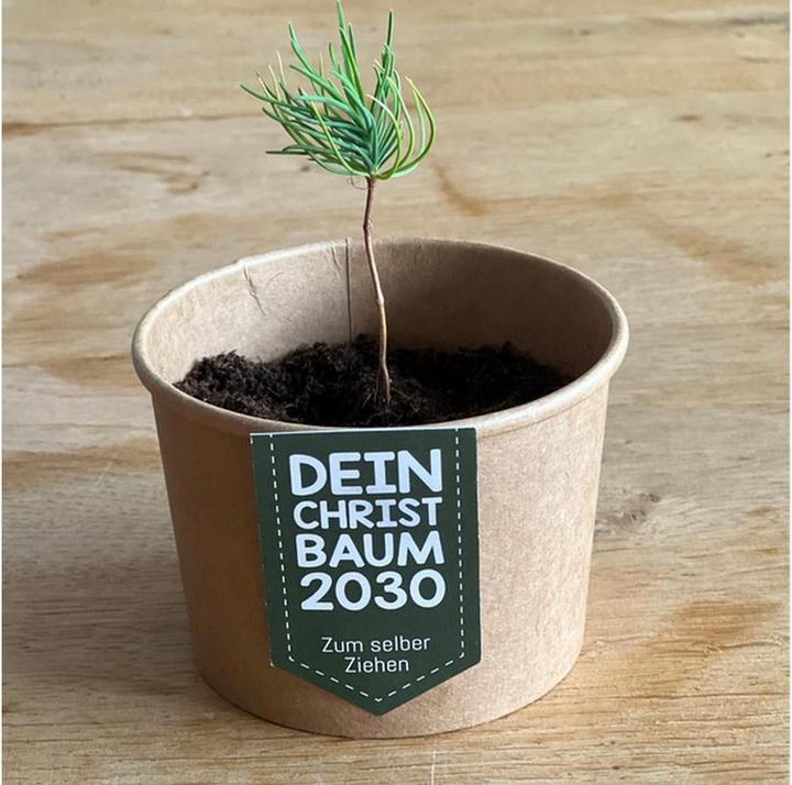 Produktbild Wunderle Geschenkbox Weihnachtsbaum (3x)