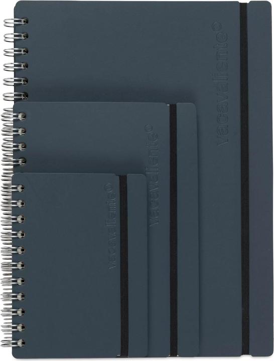 Actual product image Vacavaliente Notebooks