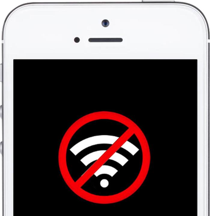 Actual product image Avizar WLAN antenna spare part iPhone 5 (iphone 5)