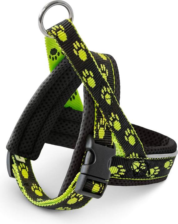 Collare + Guinzaglio