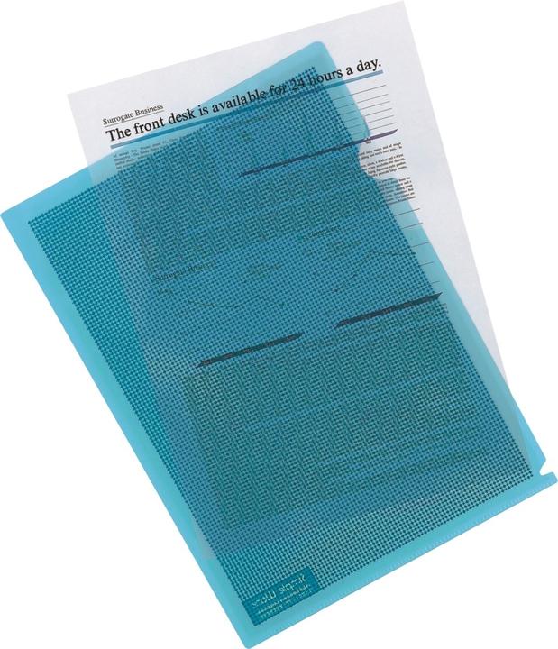 Actual product image Plus Japan PLUS JAP. Camouflage A4 View Sleeve (A4, 1 x)