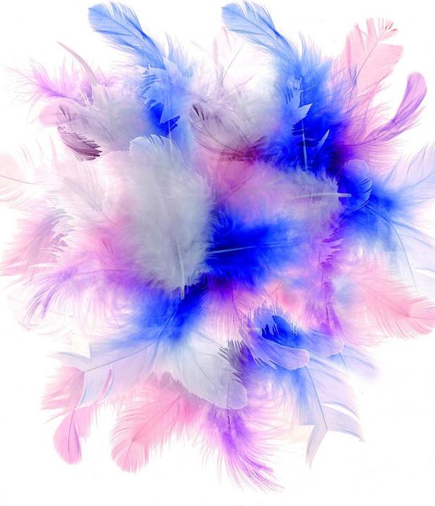 Immagine prodotto Glorex Piume deco 10g