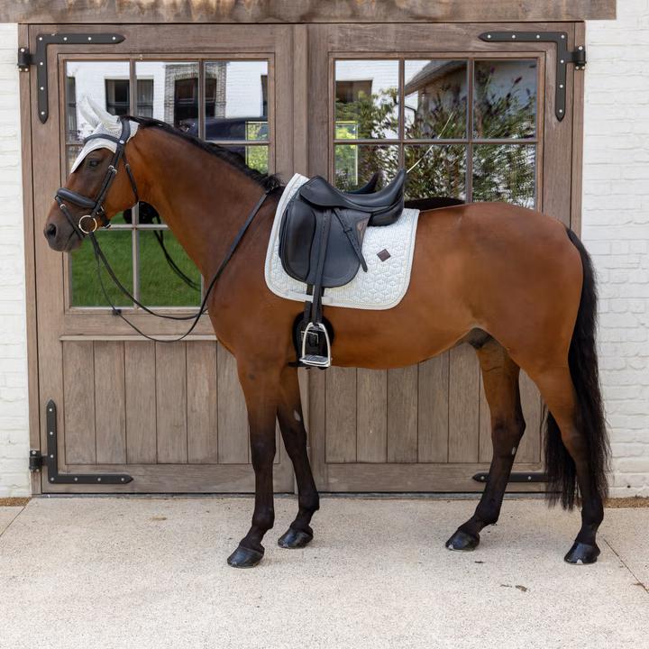 Actual product image Kentucky Horsewear Dressage saddle pad for horses