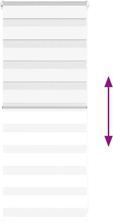 Produktbild vidaXL Zebra-Jalousie (65 x 100 cm)