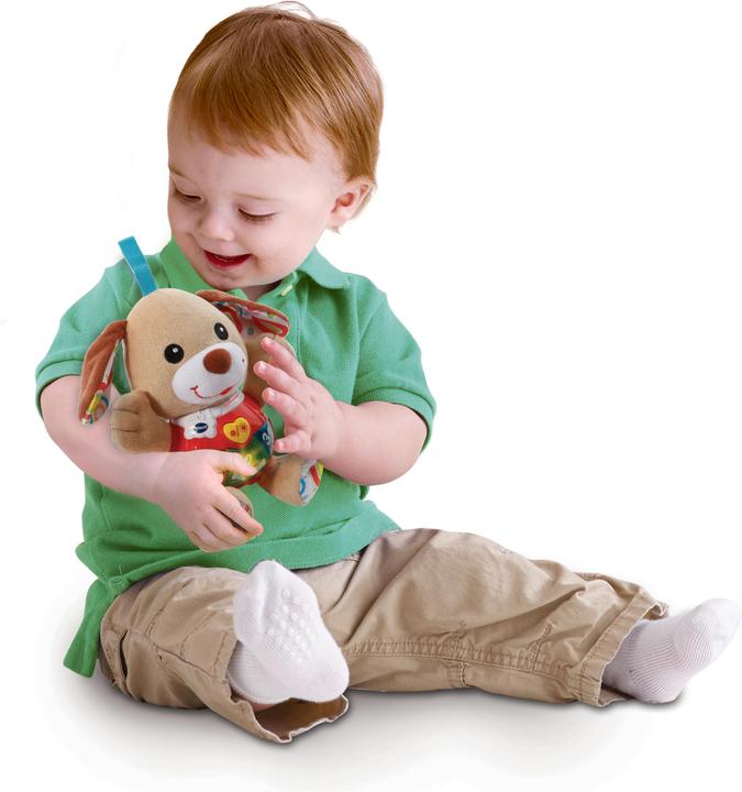 Actual product image VTech Melody dog
