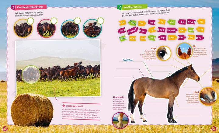 Produktbild Tessloff Rätseln und Stickern: Pferde (Deutsch, Anja Starigk, 2016)