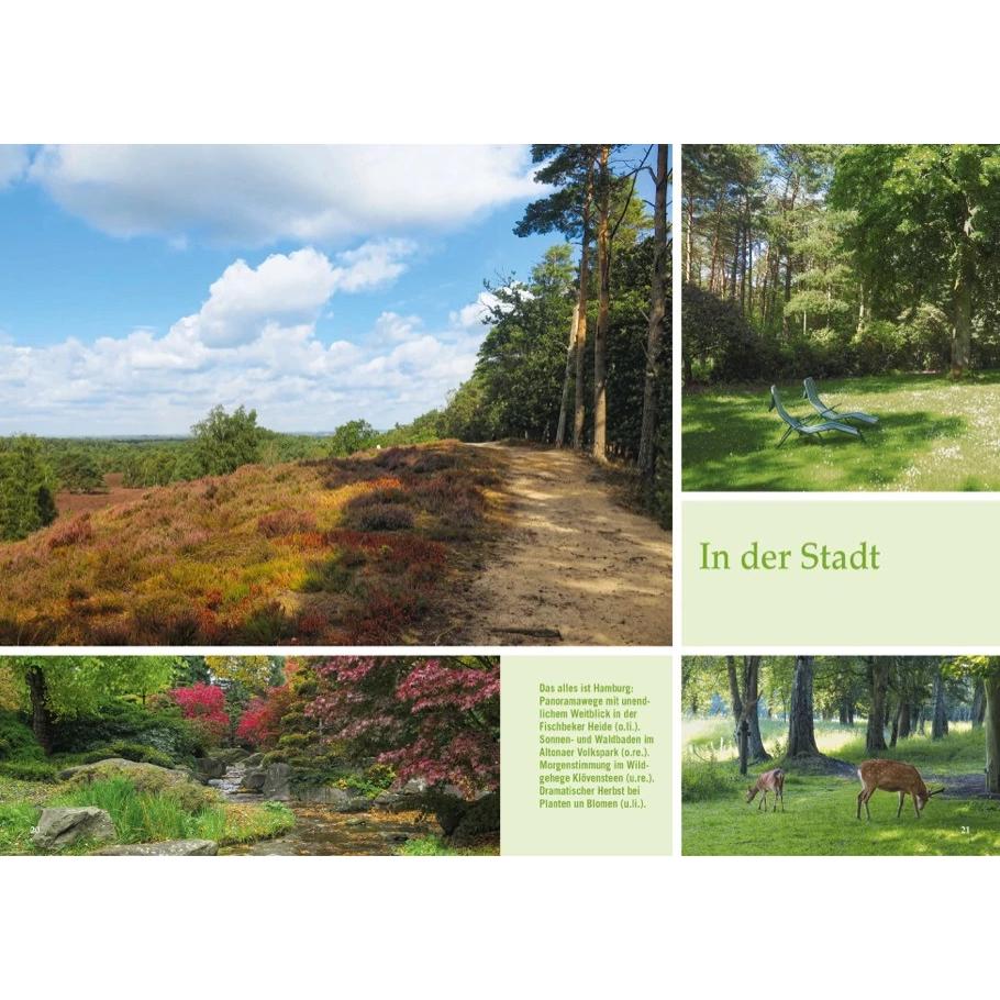 Thumbnail - Waldpfade Hamburg, Ratgeber von Stefanie Sohr, Volko Lienhardt