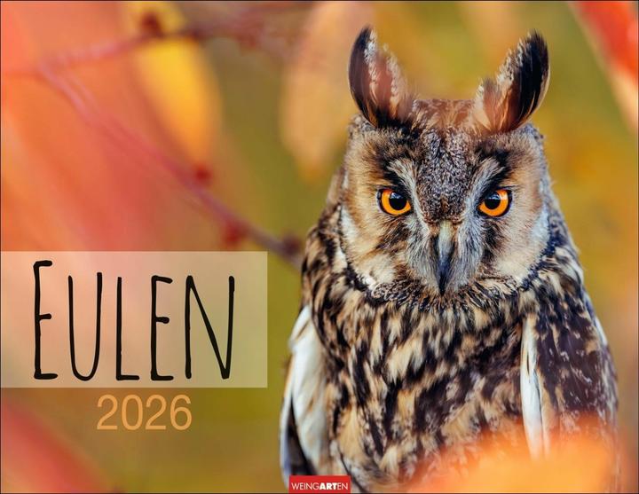 Produktbild Eulen Kalender 2026 (44 x 34 cm)