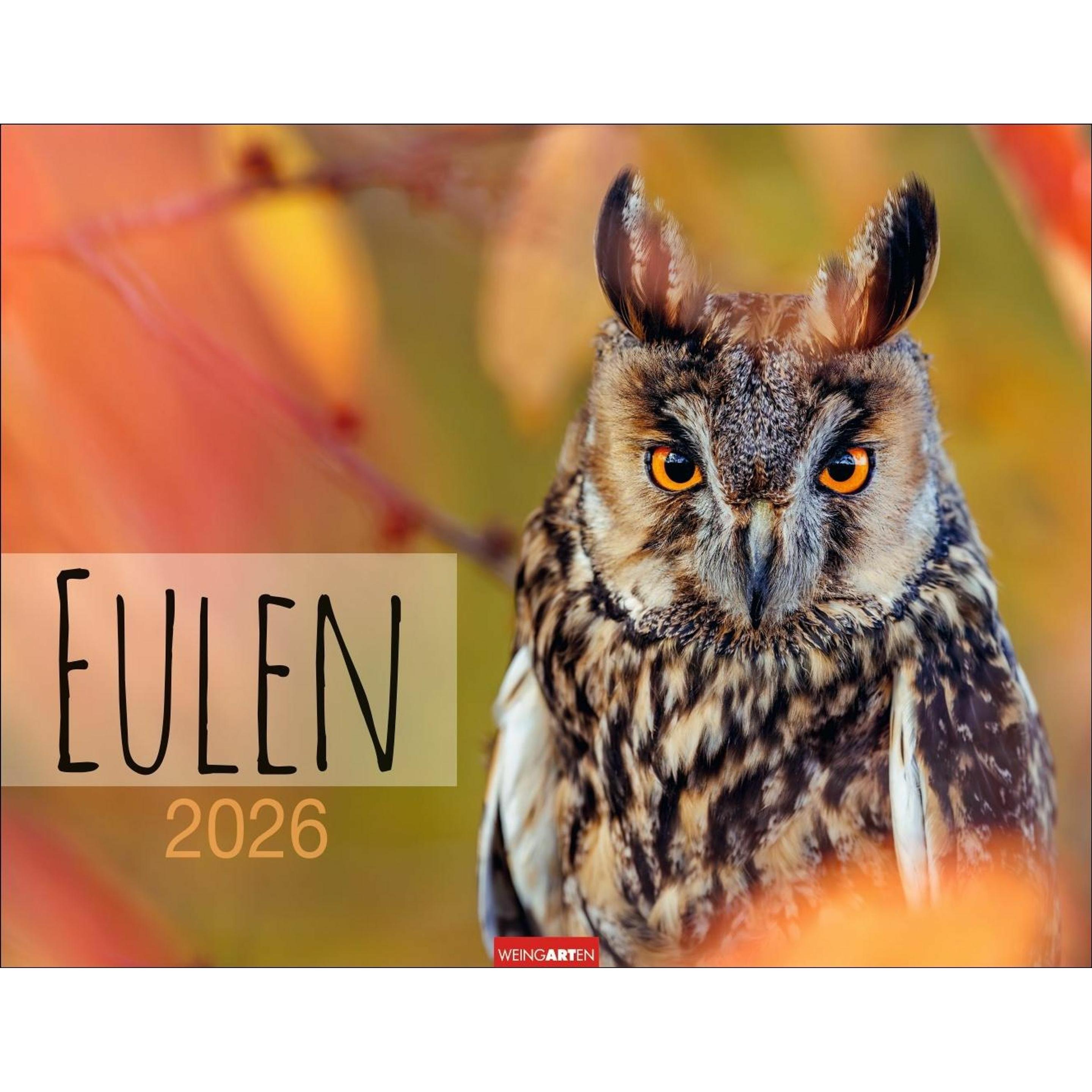 Weingarten Eulen Kalender 2026 (44 x 34 cm) (56563167)