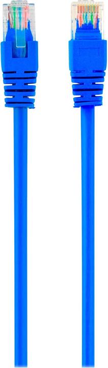 Actual product image Gembird Patch cable (UTP, CAT5e, 3 m)