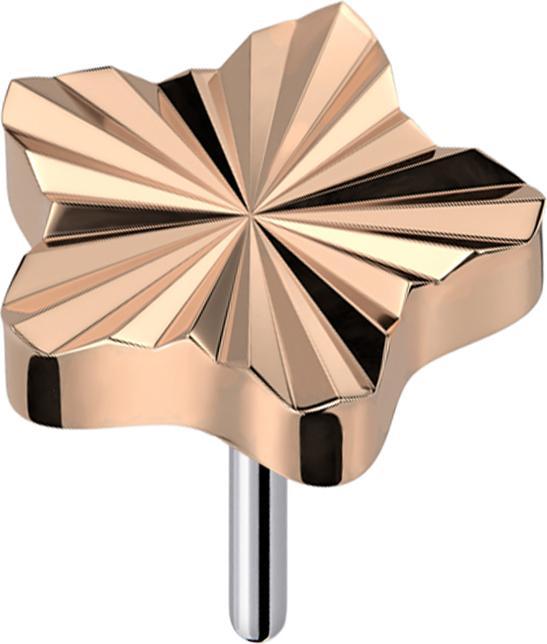 Image du produit Star Piercing Threadless diamant coupe disque étoile or rose (sans laiton, Titane)