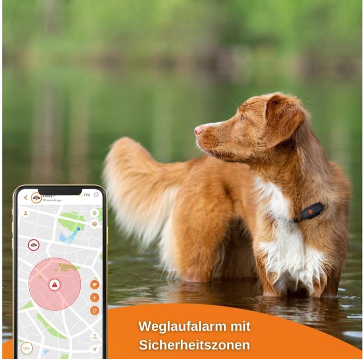 Actual product image Weenect GPS tracker (XS, Dog)