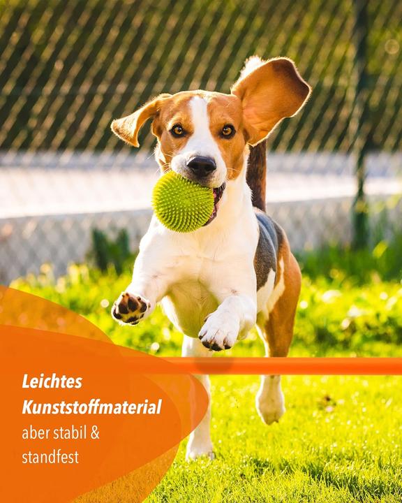 Image du produit Sportikel24 Parcours-Hürden-Set für Agility