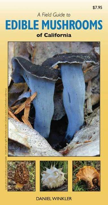Produktbild A Field Guide to Edible Mushrooms of California (Englisch, Daniel Winkler, 2012)
