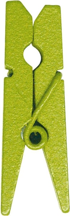 Produktbild Santex Mini Wäscheklammern Grün (24 Stück)