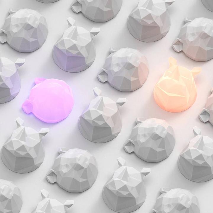 Actual product image Mobility on Board Rhino