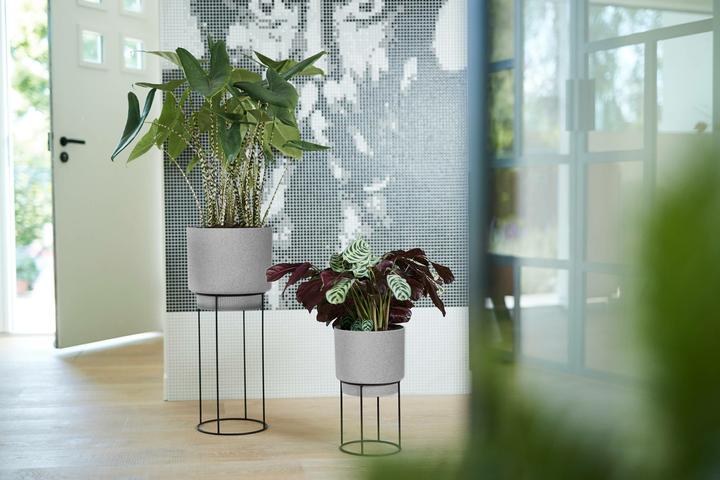 Immagine prodotto Elho b.per lo studio (22 cm)