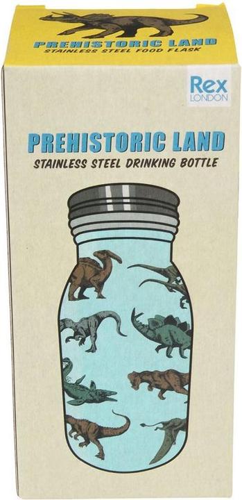 Actual product image Rex London stainless steel bottle for children prehistoric land (0.25 l)