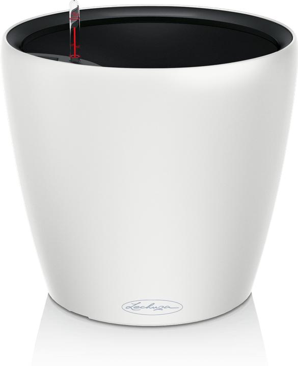 Actual product image Lechuza Classico Colour.