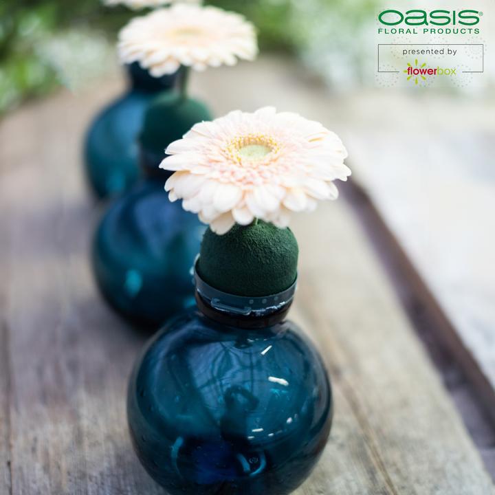 Immagine prodotto Oasis Mini Deco IDEAL
