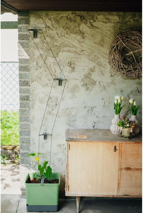 Actual product image Gusta Garden CURT CUCUMBER Gurkentopf Blau (33.50 cm)