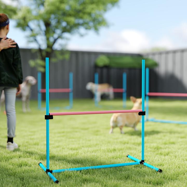 Produktbild PawHut Agility Set Hunde Kunststoff Hellblau (Agility)