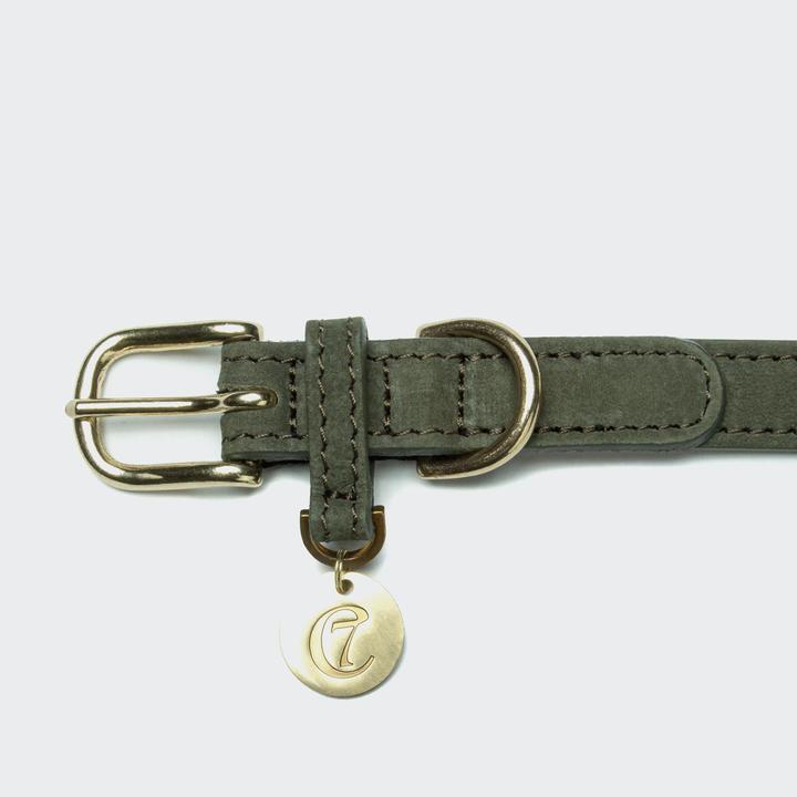 Actual product image Cloud 7 Dog collar Tiergarten (S, Dog)