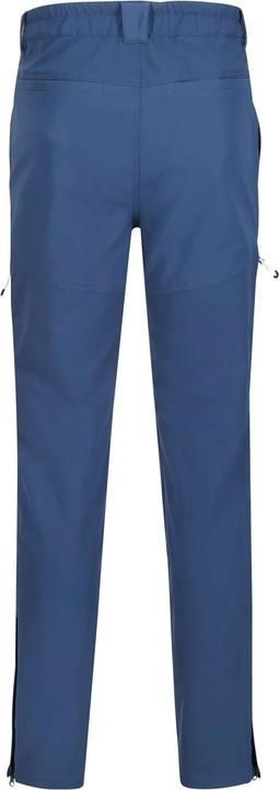 Actual product image Regatta Mens Questra IV Hiking Trousers (40)