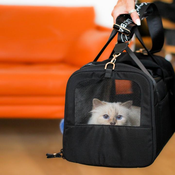 Produktbild LucyBalu CHECK-IN Katzentransporttasche | Choupette Edition (Katze, Waschbar)