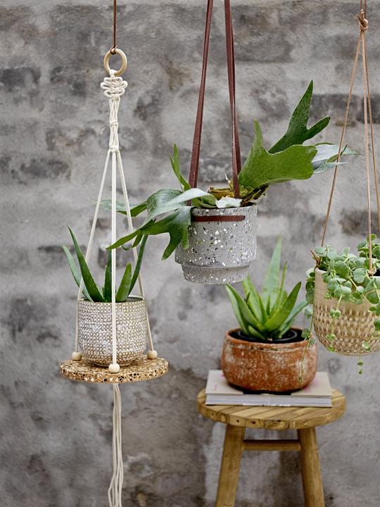 Image du produit Bloomingville cintre pour plantes (2 cm)
