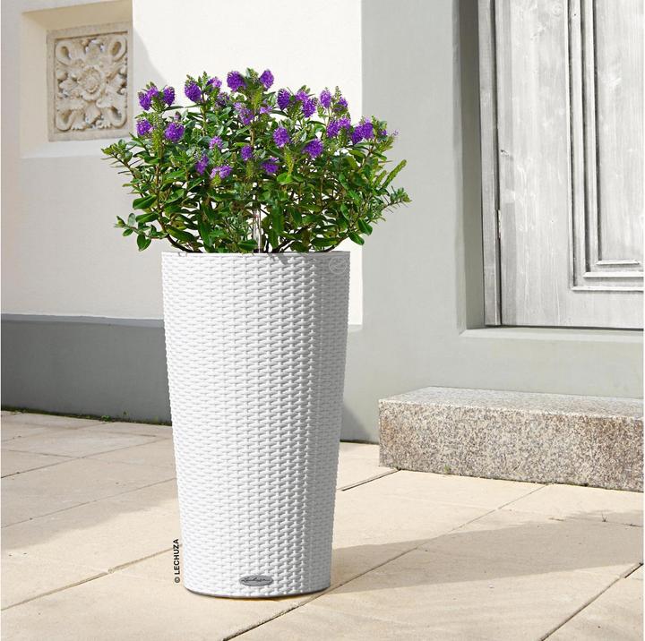 Produktbild Lechuza CILINDRO Cottage All-In-One (32 cm)