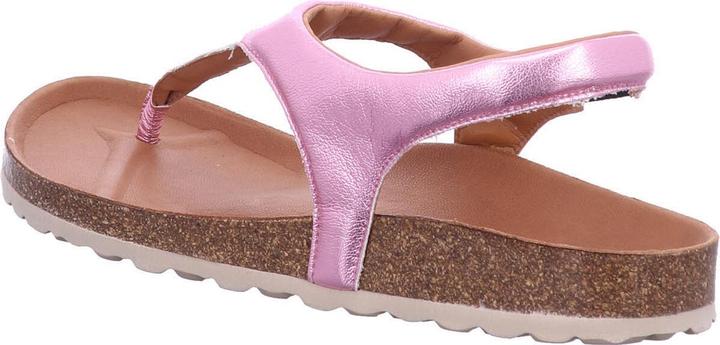 Produktbild Verbenas Reagan (37)