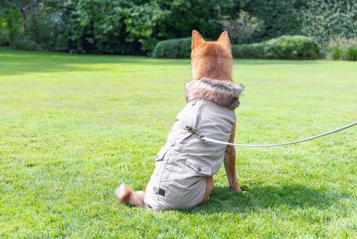 Actual product image Designed by Lotte Dog coat Philos (XXXL, Dog coat)