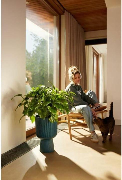 Produktbild Elho Vibes Fold Coupe (29.50 x 44.70 cm)