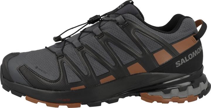 Produktbild Salomon XA Pro 3D v8 GTX (44 2/3)