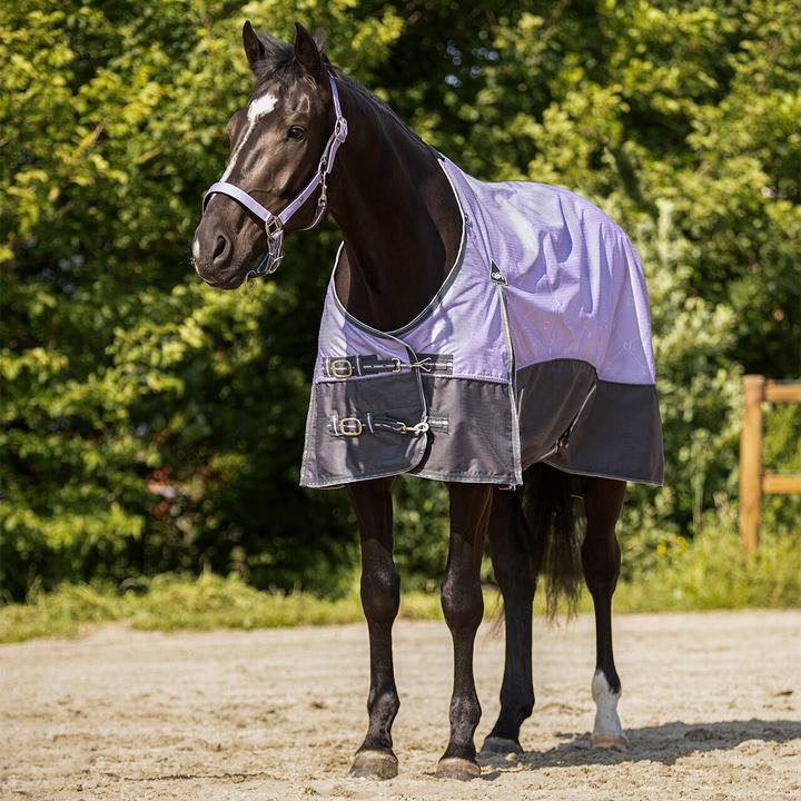 Immagine prodotto Qhp Coperta da paddock per cavalli (195 cm)