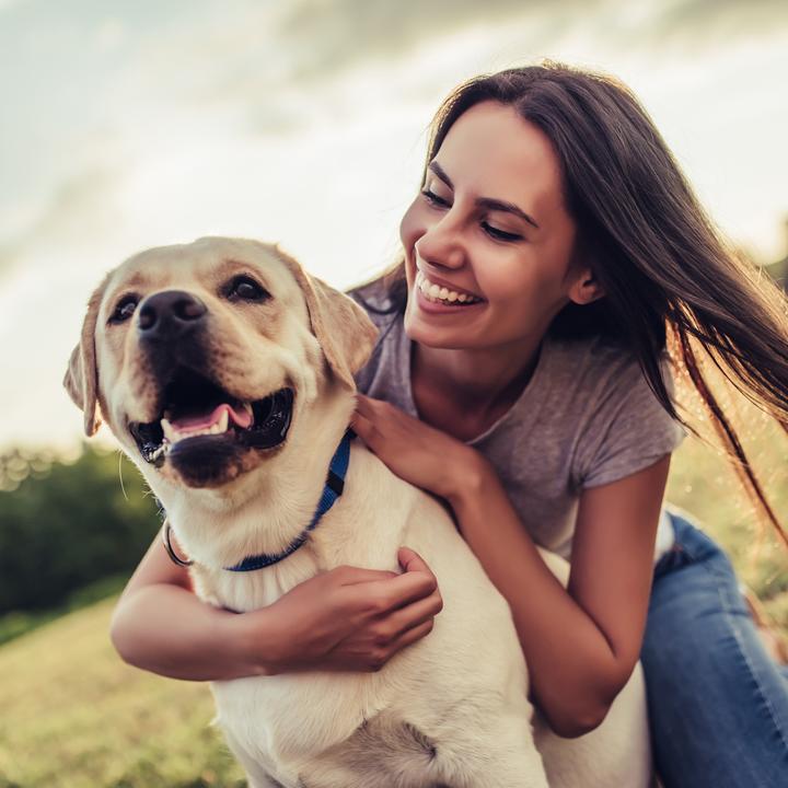 Image du produit Relaxdays Gamelle animaux