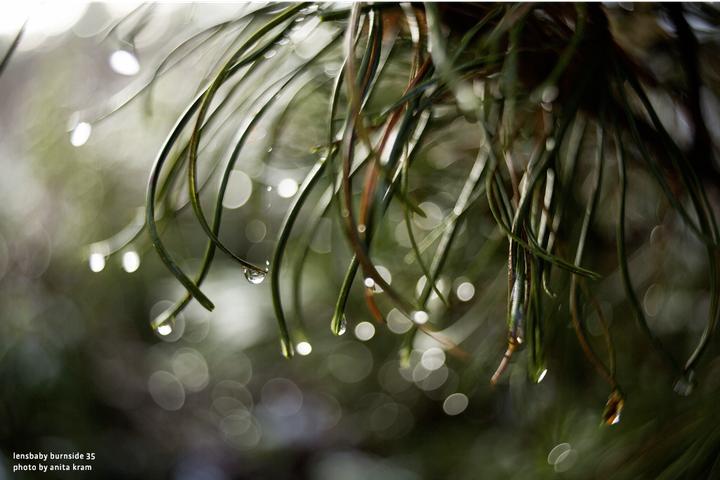 Immagine prodotto Lensbaby Burnside 35 Fuji X (Fujifilm X, APS-C / DX, Full frame)