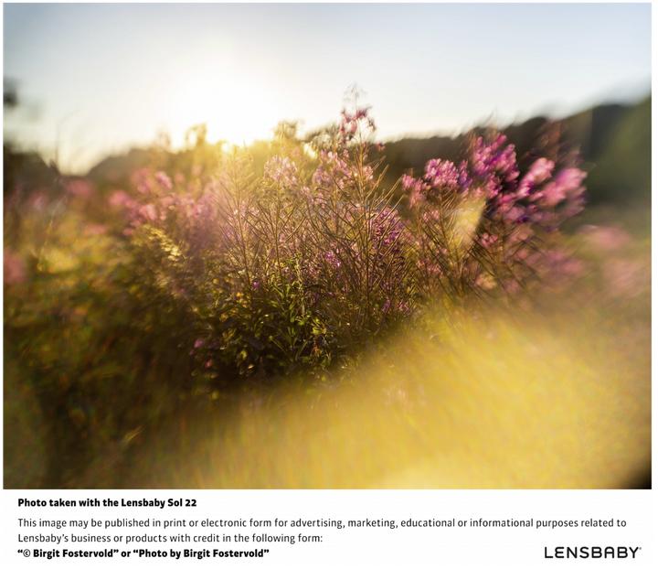 Produktbild Lensbaby Sol 22 MFT (Micro Four Thirds, Micro Four Thirds)