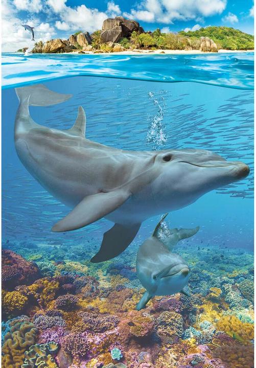 Immagine prodotto Eurographics Delfini (250 pezzi)