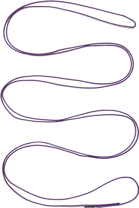 Image du produit Black Diamond Anneau de sangle Dynex Runner 10mm