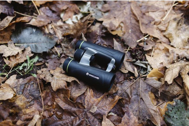 Immagine prodotto Vanguard Endeavor ED IV 10x42 (10 x, 42 mm)
