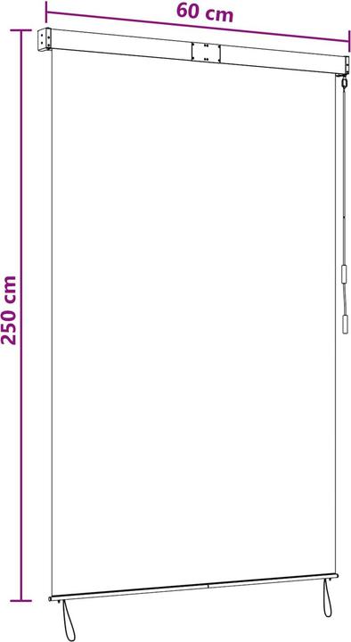 Produktbild vidaXL Outdoor Rollo (60 x 250 cm)