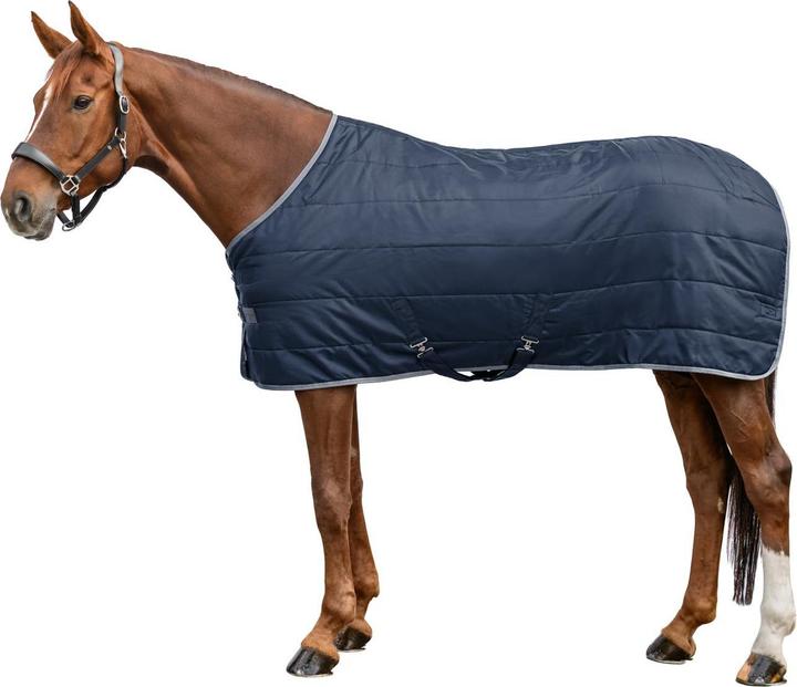 Produktbild Waldhausen Economic 100g (165 cm)