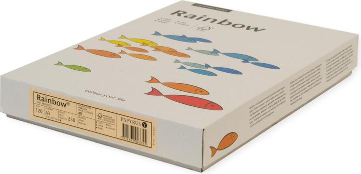 Actual product image Rainbow Copy paper colored A3 (A3, 250 Sheets, 120 g/m²)