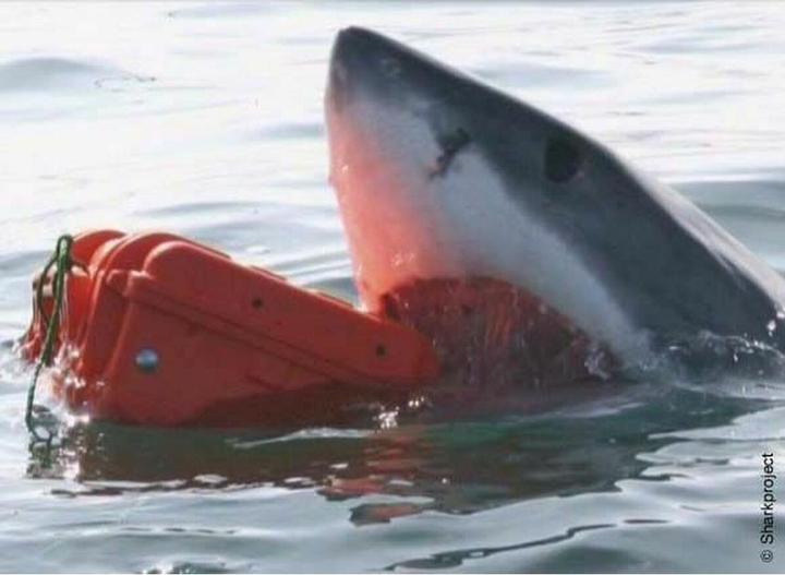 Produktbild Explorer Cases Spezialkoffer 38x27x18 cm Mod. 3818 (18.40 l)