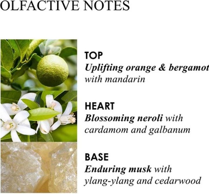 Actual product image Molton Brown Bath Body Orange & Bergamot Hand Lotion 300 ml (300 ml)
