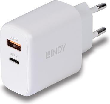 Actual product image Lindy 120W 10 port USB charging station For charging up to 10 tablets and/or smartphones at the same time (120 W)