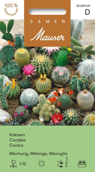 Image du produit Samen Mauser Mélange de cactus (Graines de plantes)